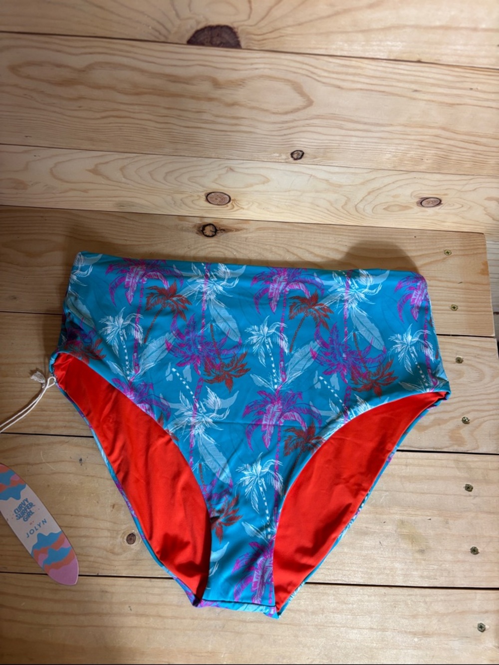NWT Jolyn Venus swim bottoms 1x